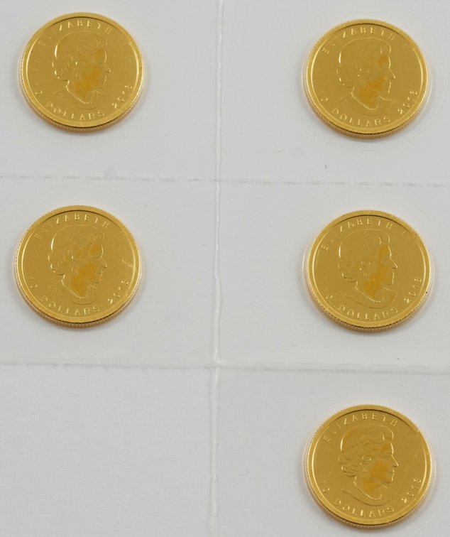 Canada coin lot (5) Five 1/4 oz Gold Polar Bears