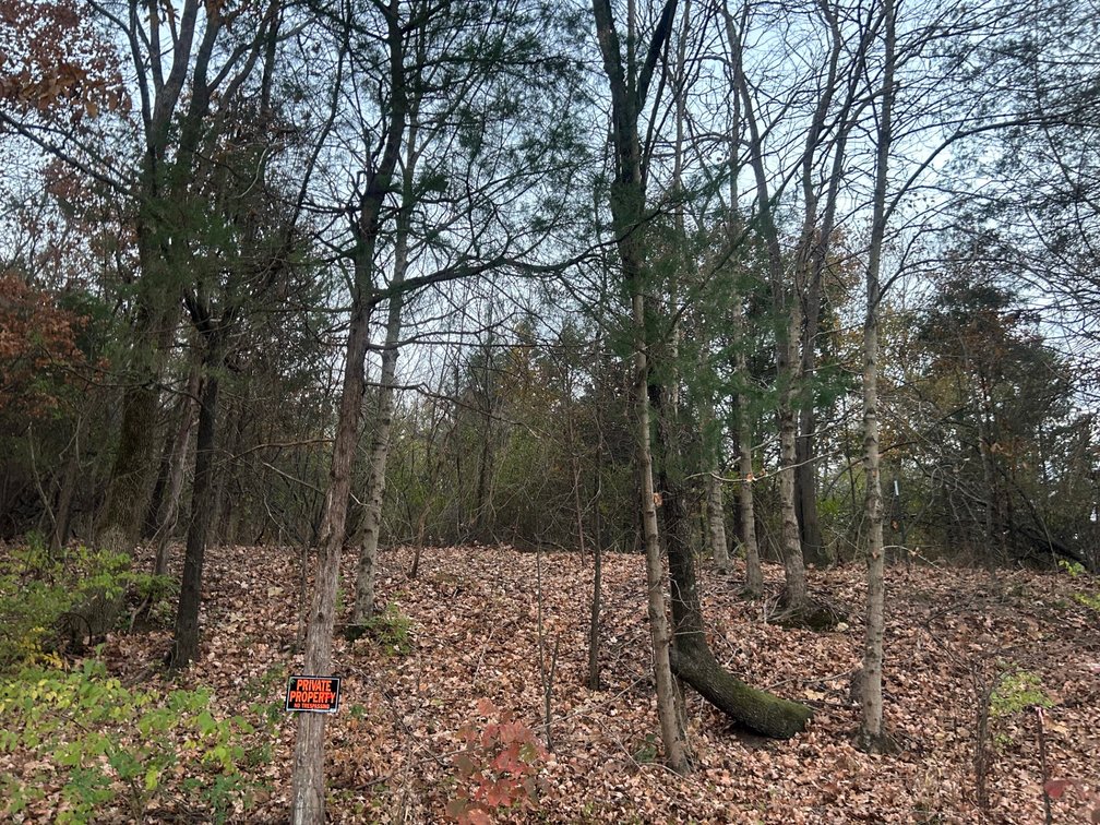 Tract 3 – ±22.0 Acres