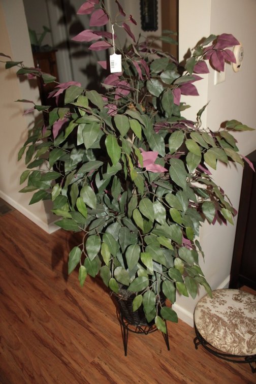 Artificial Plant With Stand, Measures 60 Inches