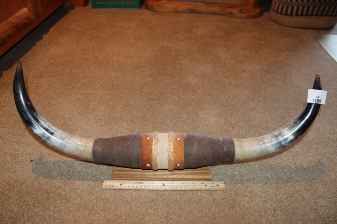 28 Inch Set Of Steer Horns.