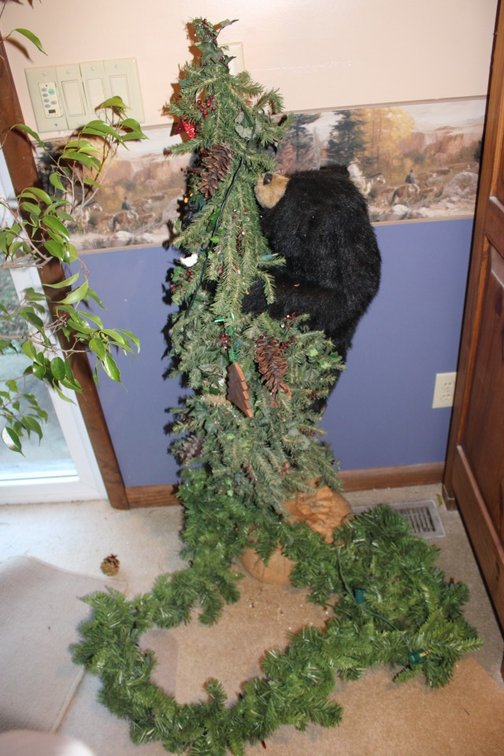 51 Inch Christmas Bear Tree.