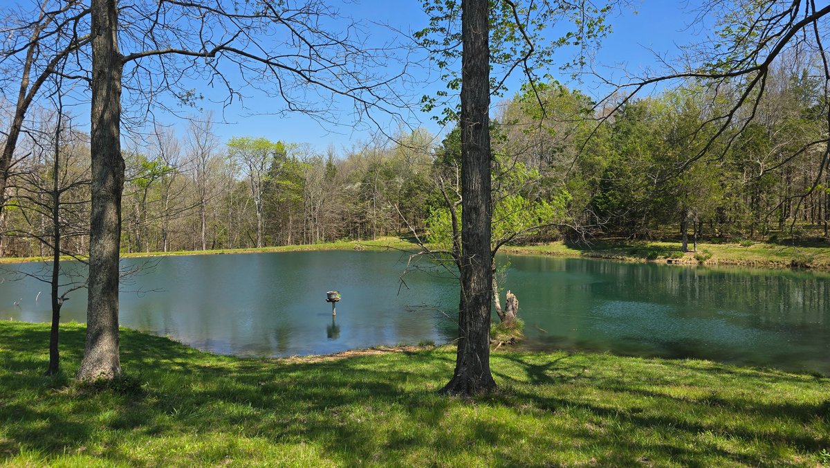 Image for 305 Campers Lane, Creal Springs, IL 62922