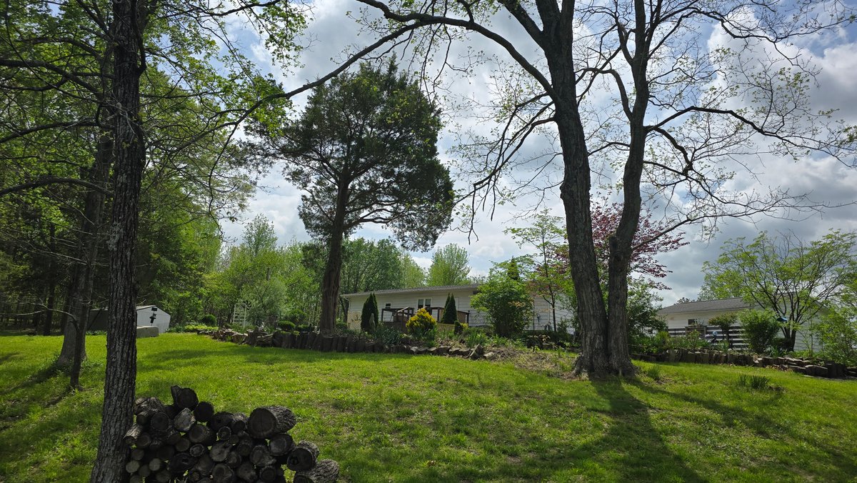 Image for 305 Campers Lane, Creal Springs, IL 62922