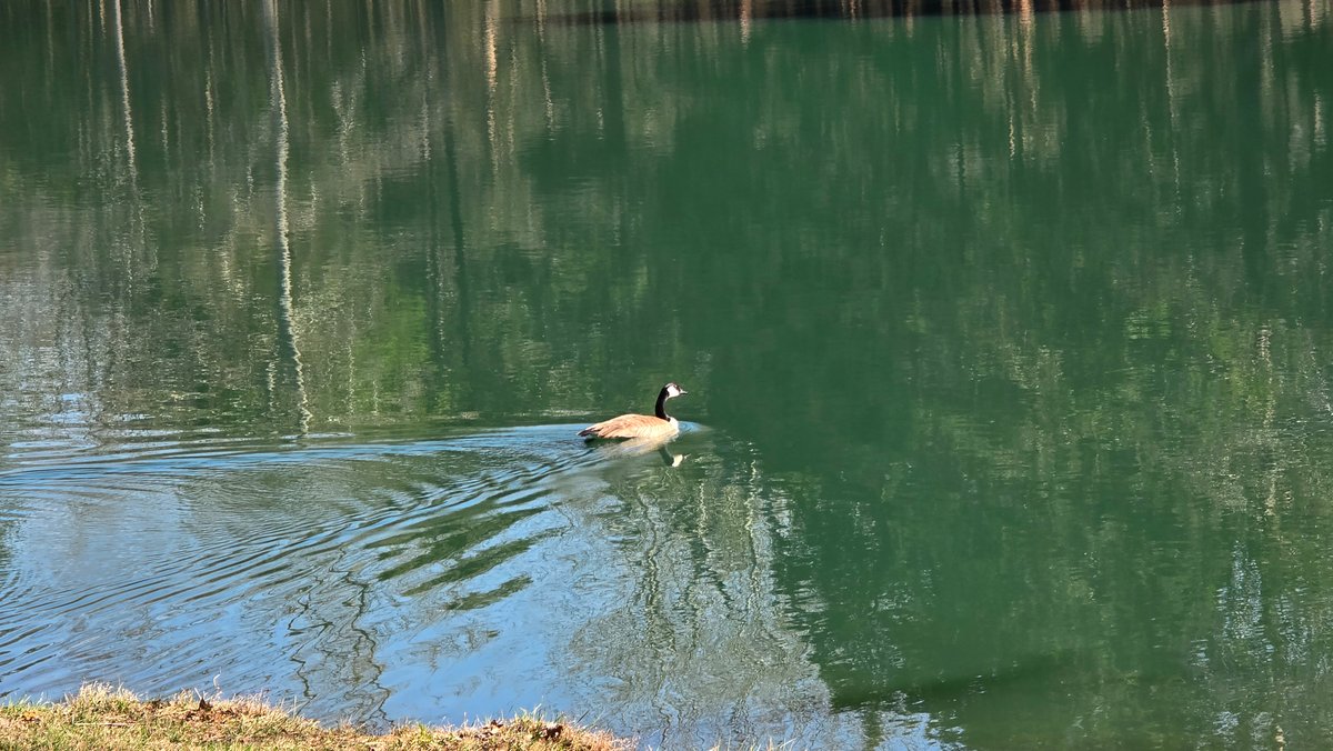Image for 305 Campers Lane, Creal Springs, IL 62922