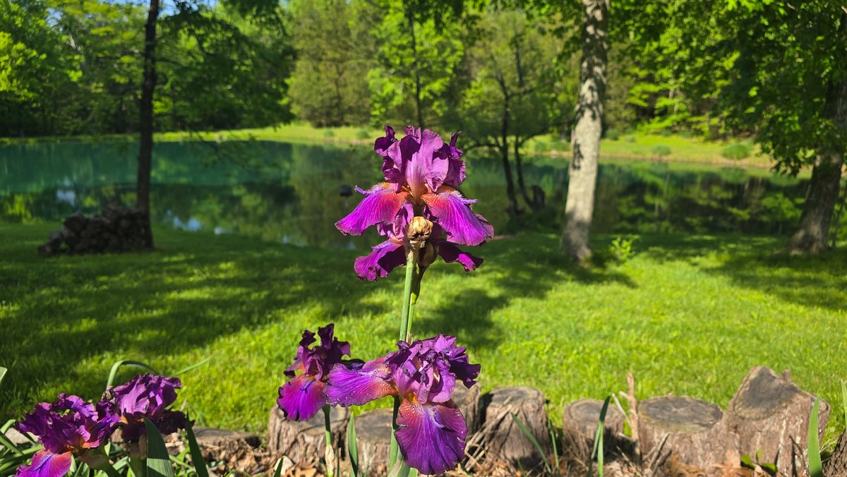Image for 305 Campers Lane, Creal Springs, IL 62922
