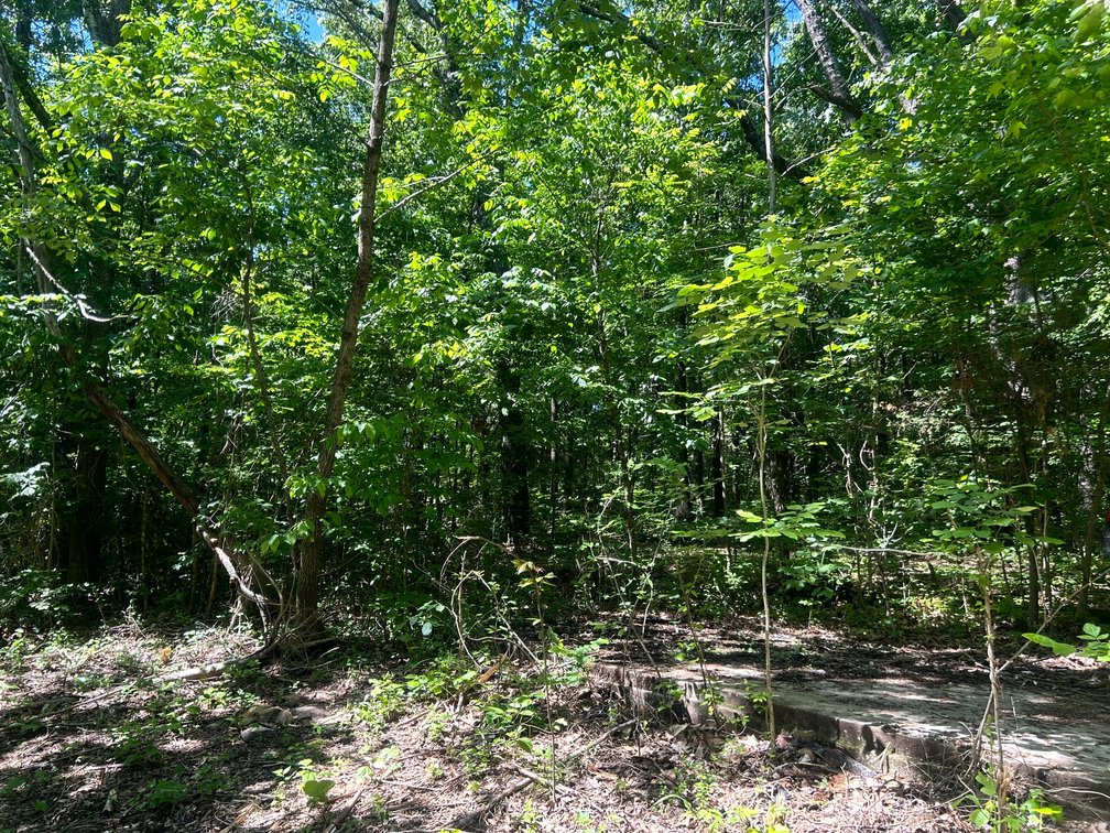 Image for 3993 Teddybear Lane, Carbondale, IL 62902