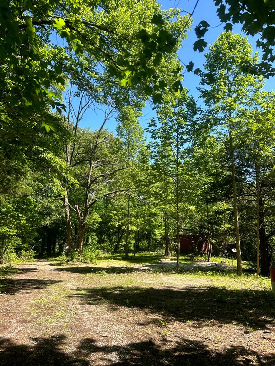 Image for 3993 Teddybear Lane, Carbondale, IL 62902