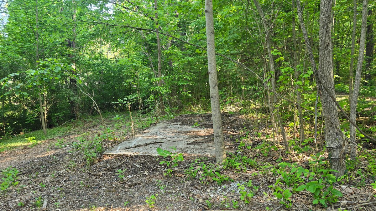 Image for 3993 Teddybear Lane, Carbondale, IL 62902