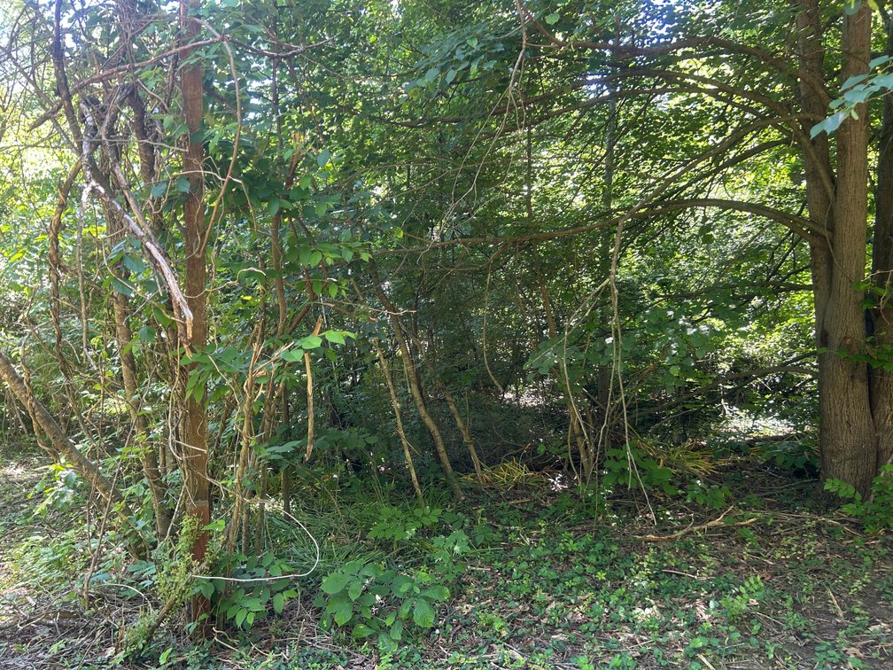 Image for 3993 Teddybear Lane, Carbondale, IL 62902
