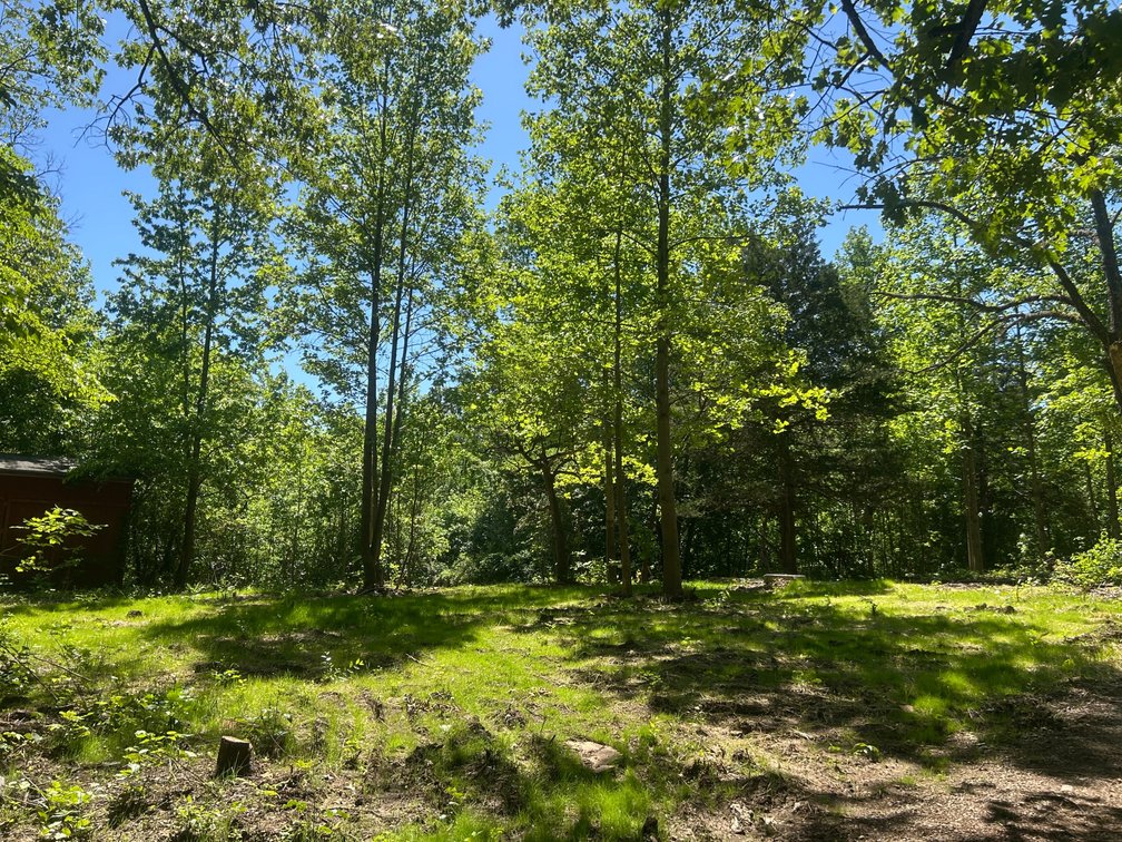 Image for 3993 Teddybear Lane, Carbondale, IL 62902