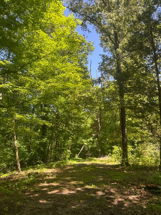 Image for 3993 Teddybear Lane, Carbondale, IL 62902