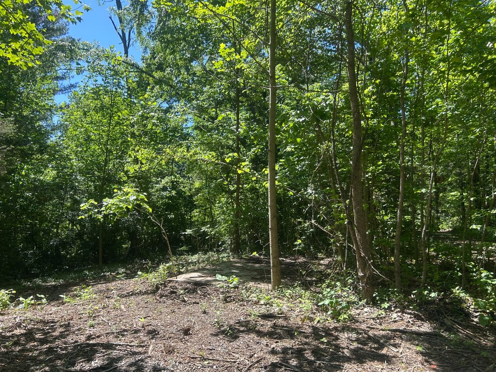 Image for 3993 Teddybear Lane, Carbondale, IL 62902