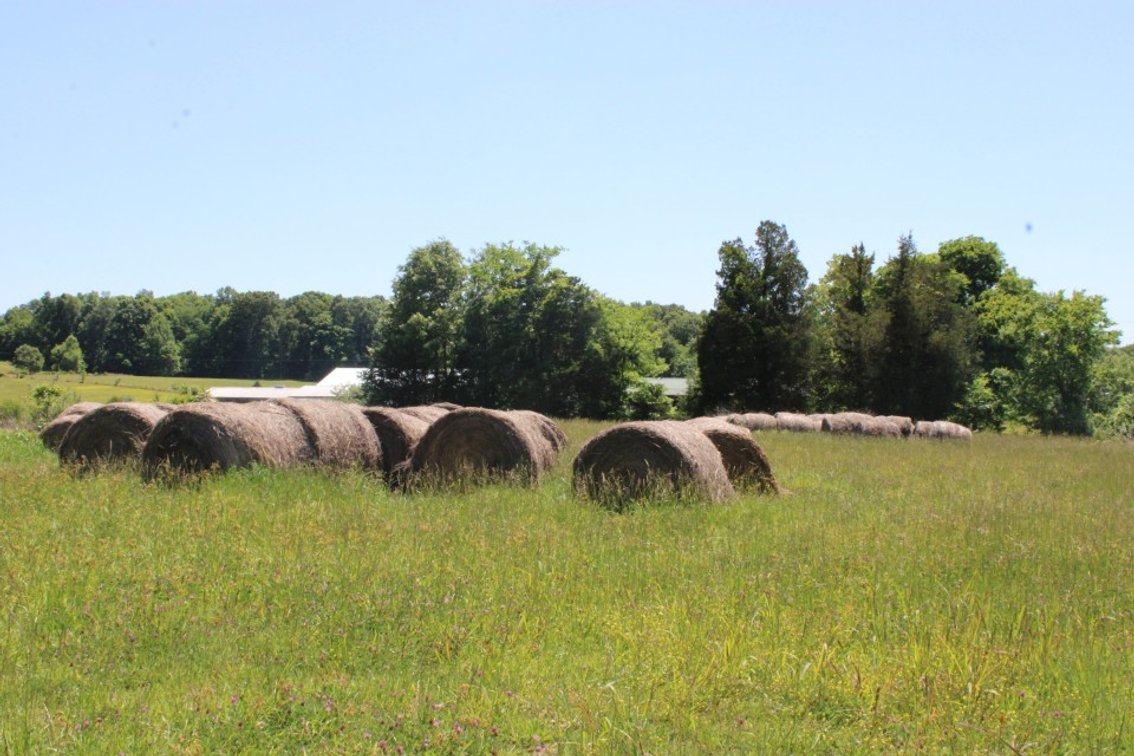 Approximately 100 Round Bales, Loader Available
