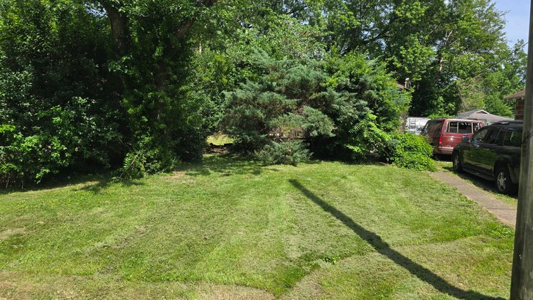 Image for 707 N Allyn Street Carbondale Illinois 62901