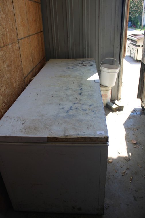 Chest Freezer, 83 x 32 x 32