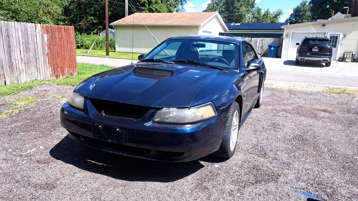 Image for Mustang, Tools, Electronics, Household And More