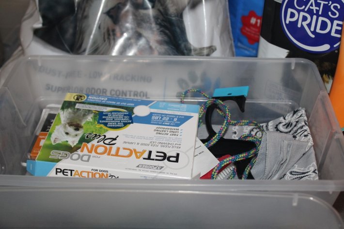 Image for Cat Supplies