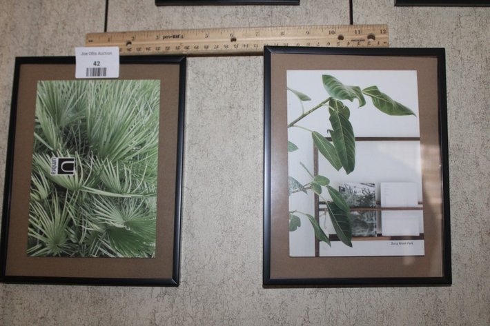 Image for Picture Frame Collage