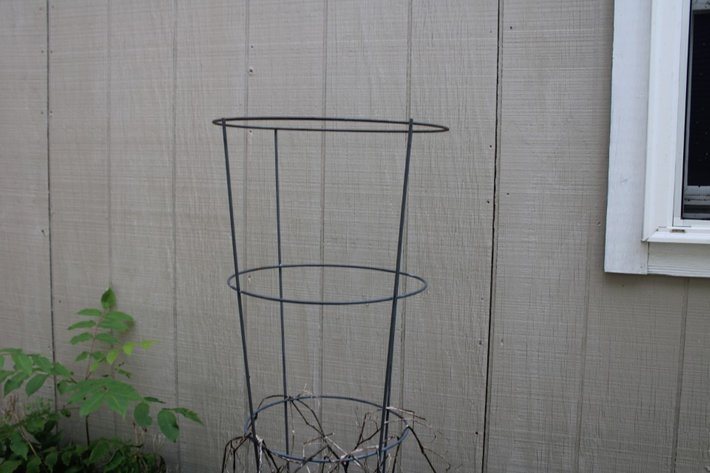 Image for Garden Edging and Potted Plants