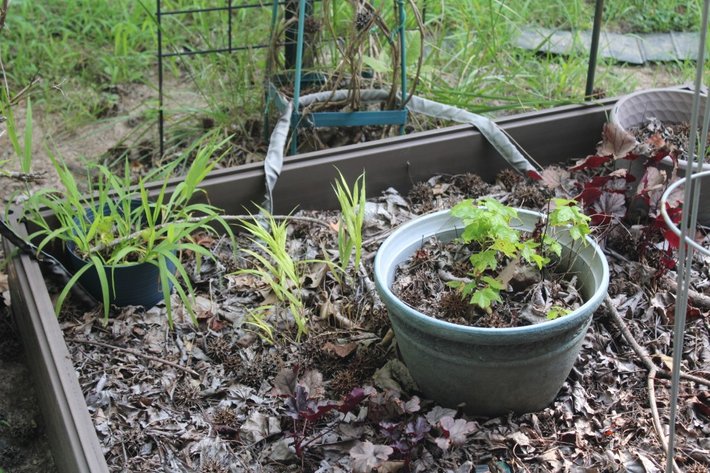Image for Potted Plants, Shepherd Hooks and Wind Chime