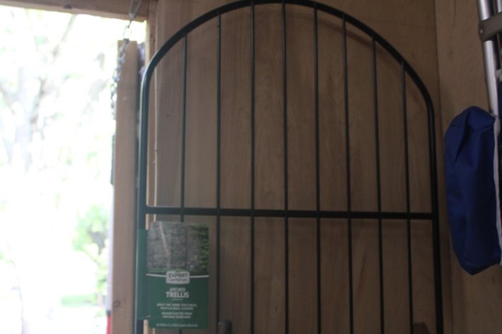 Image for Wine Rack and Trellis