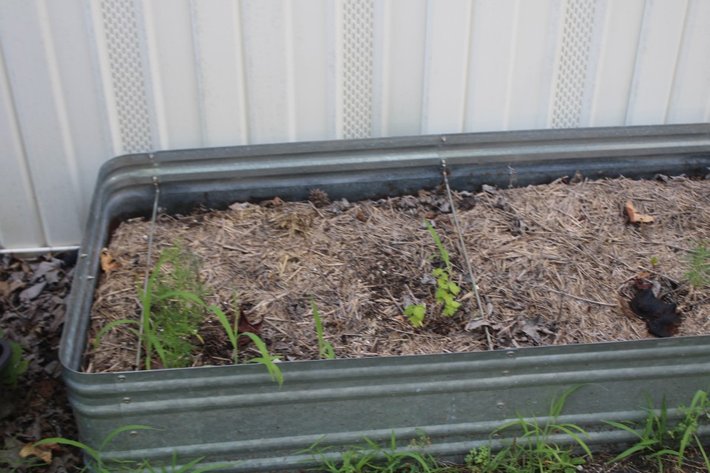 Image for Planters