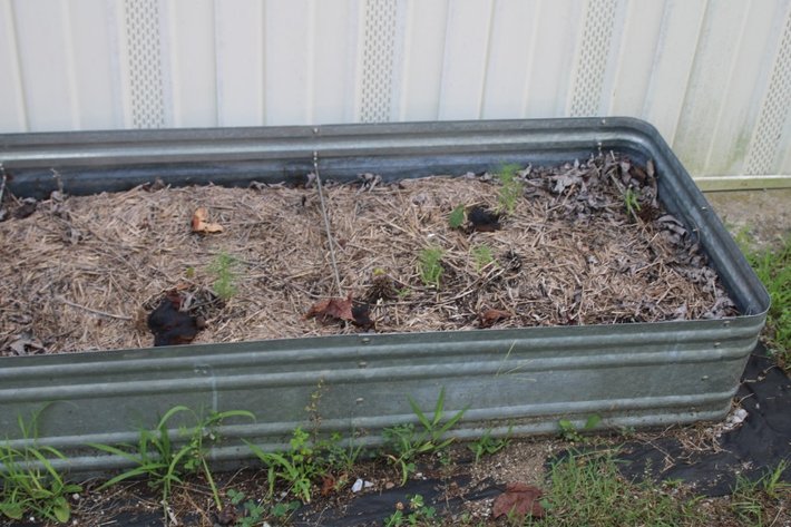 Image for Planters