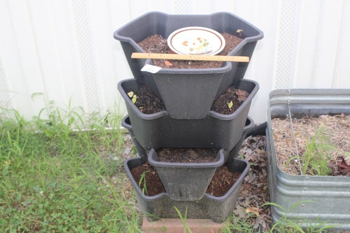 Image for Planters
