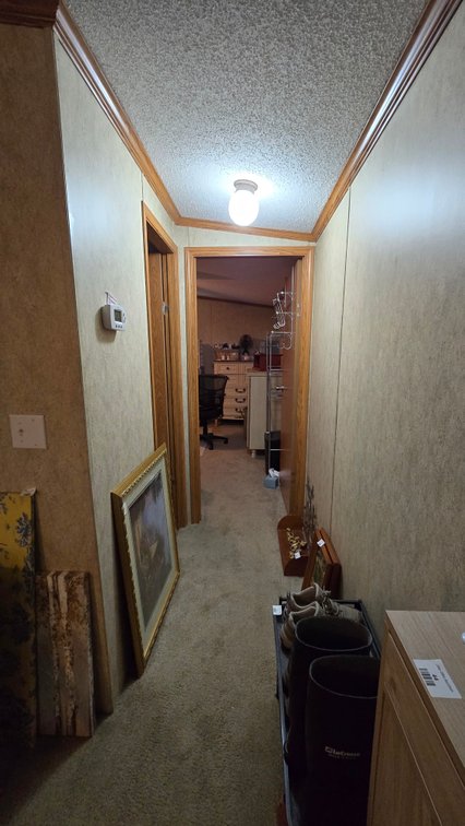 Image for 48 Golden Ash Lane, Carbondale, IL 62902
