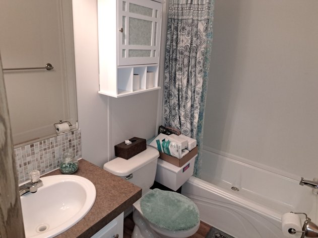 Image for Loose Contents of Hall Bath