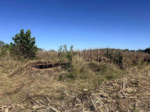 Image for Land Auction