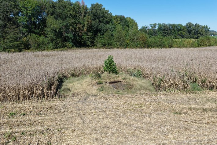 Image for Land Auction