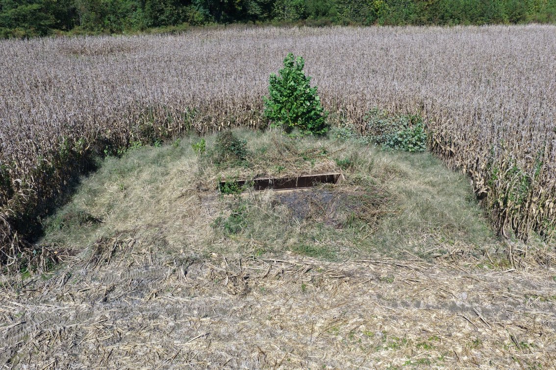 Image for 50.79± Acre Land Auction: Duck Impoundment, Base Camp, and Ohio River Bottomland