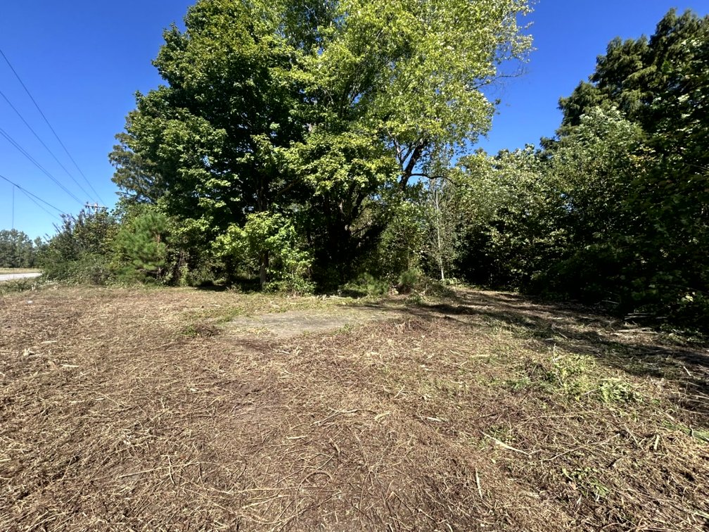 Image for 50.79± Acre Land Auction: Duck Impoundment, Base Camp, and Ohio River Bottomland