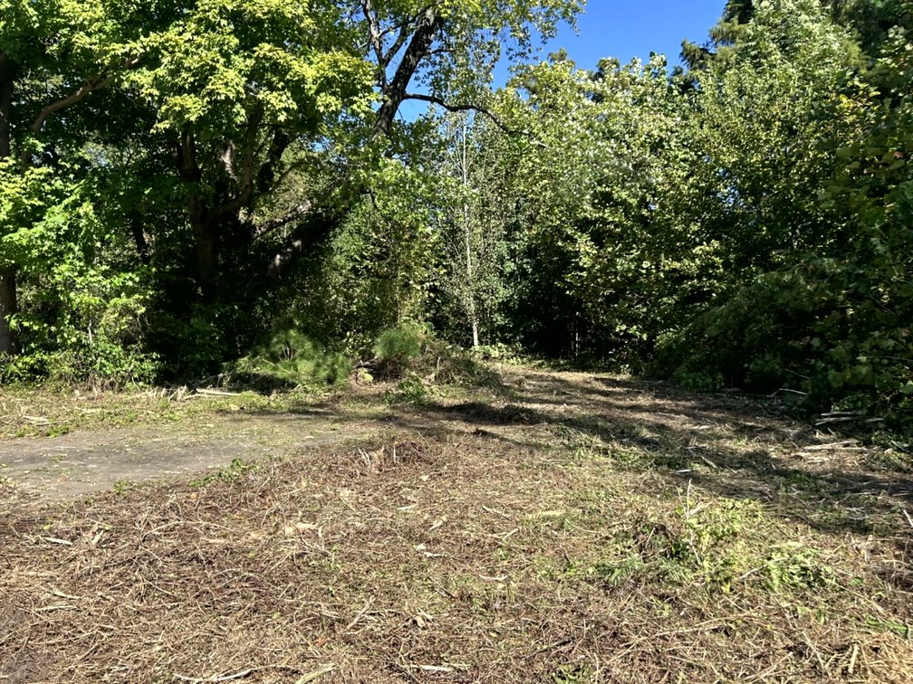 Image for 50.79± Acre Land Auction: Duck Impoundment, Base Camp, and Ohio River Bottomland