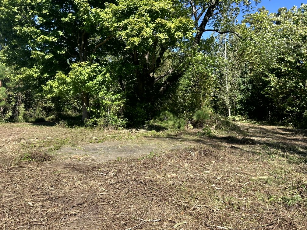 Image for 50.79± Acre Land Auction: Duck Impoundment, Base Camp, and Ohio River Bottomland