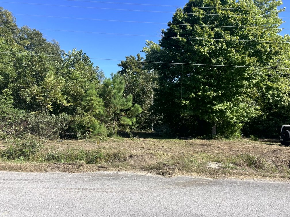 Image for 50.79± Acre Land Auction: Duck Impoundment, Base Camp, and Ohio River Bottomland