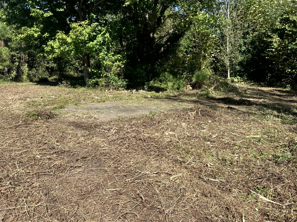 Image for 50.79± Acre Land Auction: Duck Impoundment, Base Camp, and Ohio River Bottomland