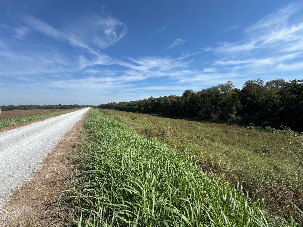 Image for 50.79± Acre Land Auction: Duck Impoundment, Base Camp, and Ohio River Bottomland