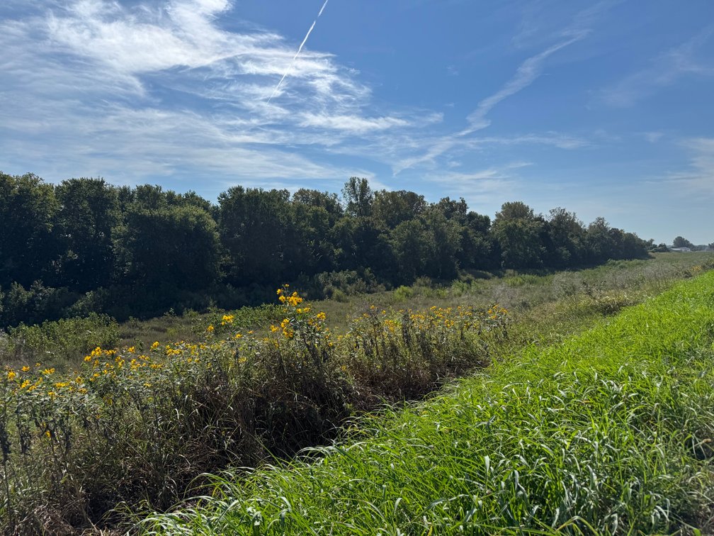 Image for 50.79± Acre Land Auction: Duck Impoundment, Base Camp, and Ohio River Bottomland
