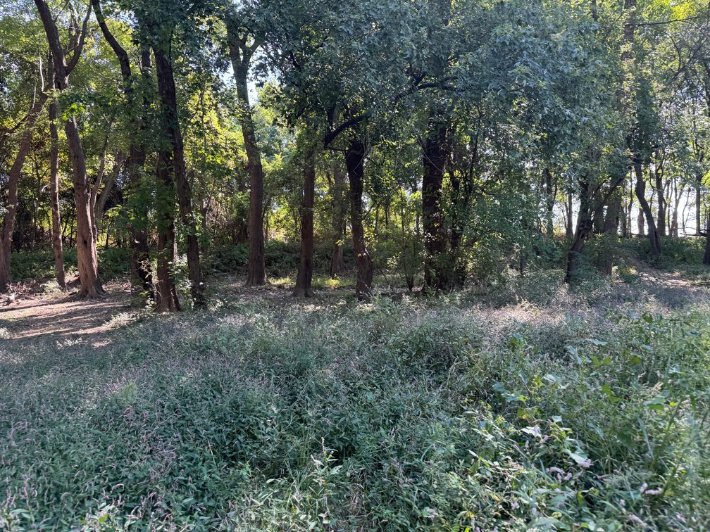 Image for 50.79± Acre Land Auction: Duck Impoundment, Base Camp, and Ohio River Bottomland