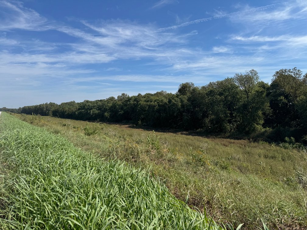 Image for 50.79± Acre Land Auction: Duck Impoundment, Base Camp, and Ohio River Bottomland