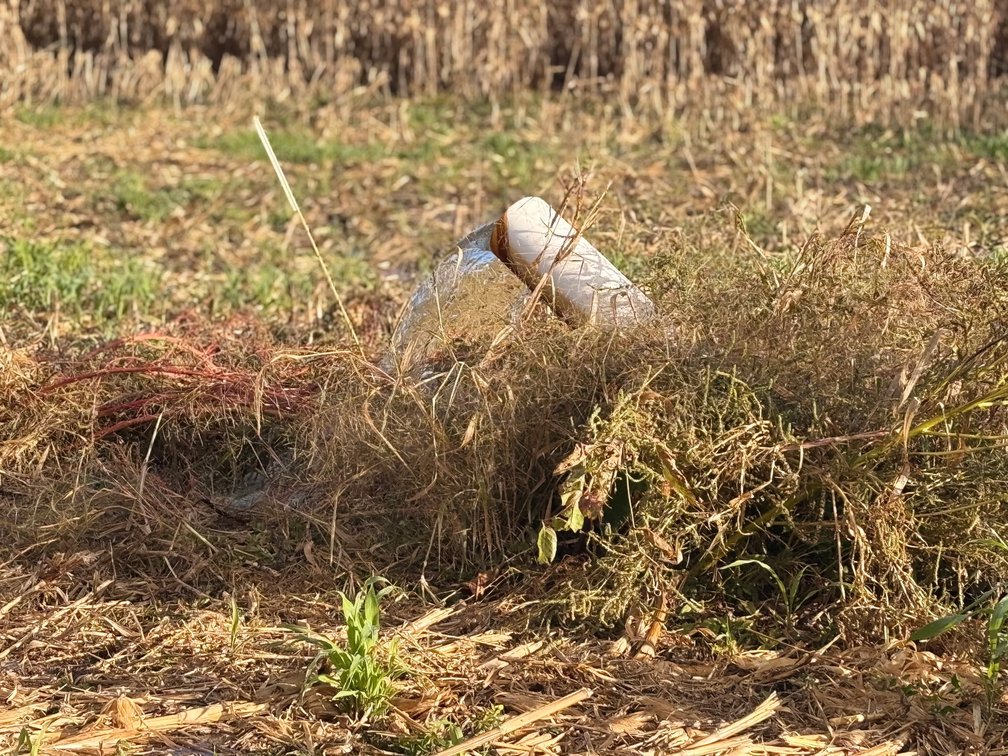 Image for 50.79± Acre Land Auction: Duck Impoundment, Base Camp, and Ohio River Bottomland