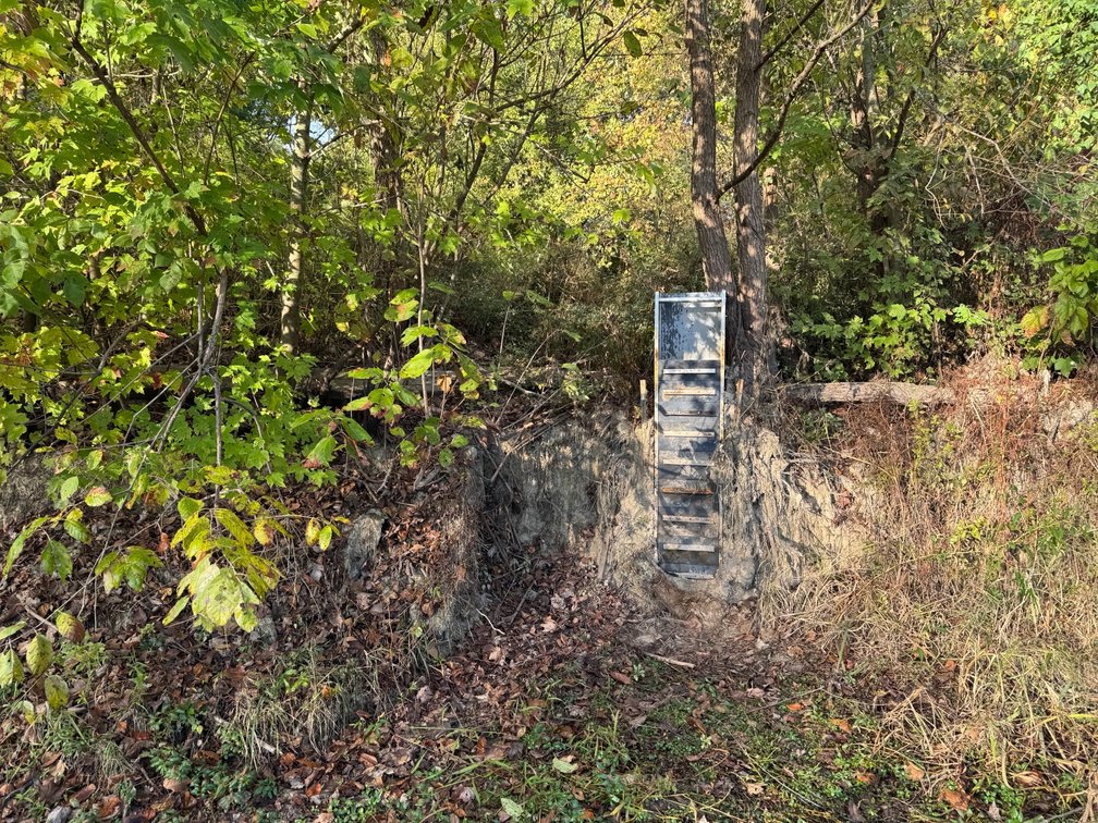 Image for 50.79± Acre Land Auction: Duck Impoundment, Base Camp, and Ohio River Bottomland