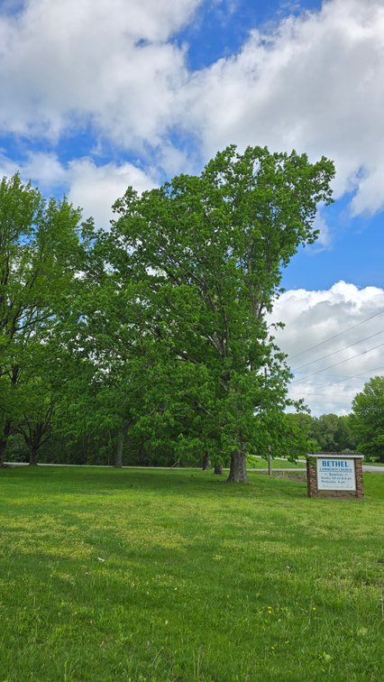 Image for Rural Property with Space, Peace & Possibility – Online-Only Auction