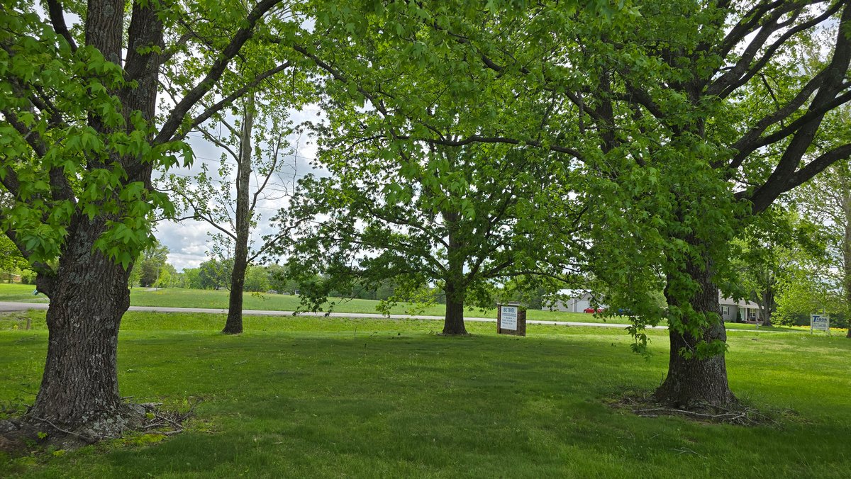 Image for Rural Property with Space, Peace & Possibility – Online-Only Auction