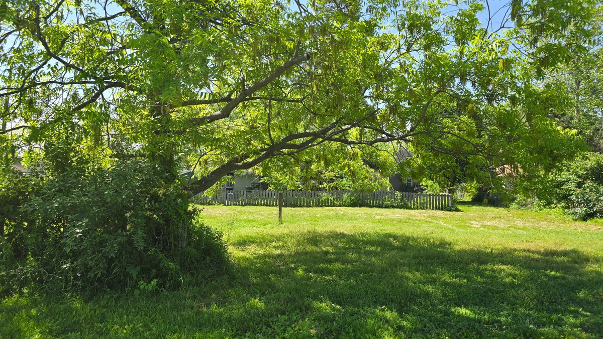 Image for Ready for Your Magic Touch: Herrin Home at Online Auction