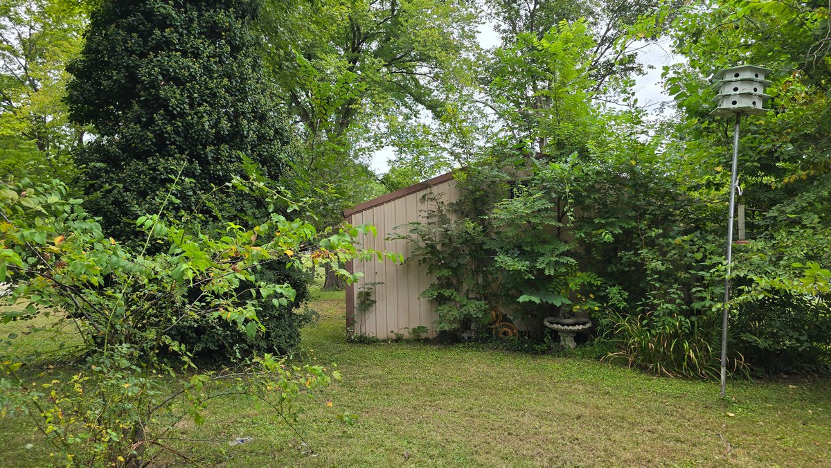 Image for Cozy Home, Big Possibilities - Country Living Made Easy