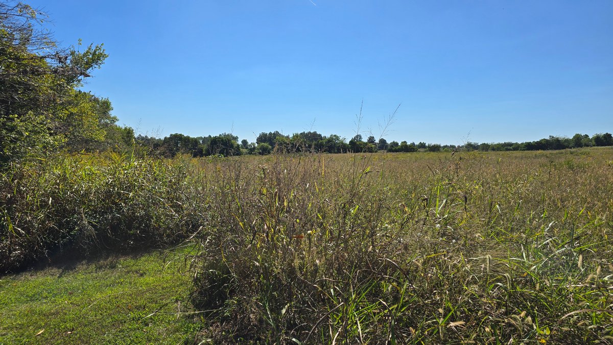 Image for LAND AUCTION - 68.9± ACRES IN 3 TRACTS WITH BARNS