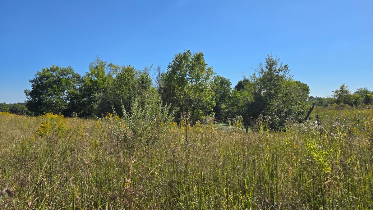 Image for LAND AUCTION - 68.9± ACRES IN 3 TRACTS WITH BARNS